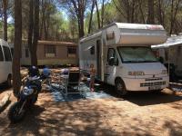 Klicken zum ansehen camping_spinnaker_t1.jpg
